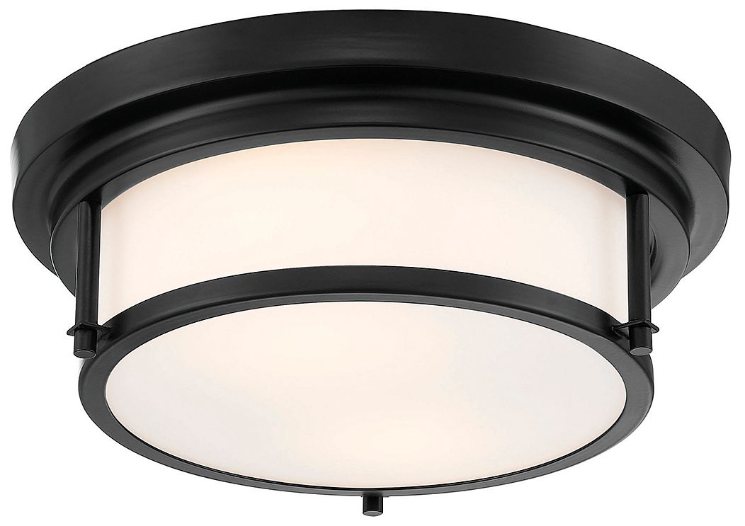 Image 4 2-Light Ceiling Light in Matte Black more views
