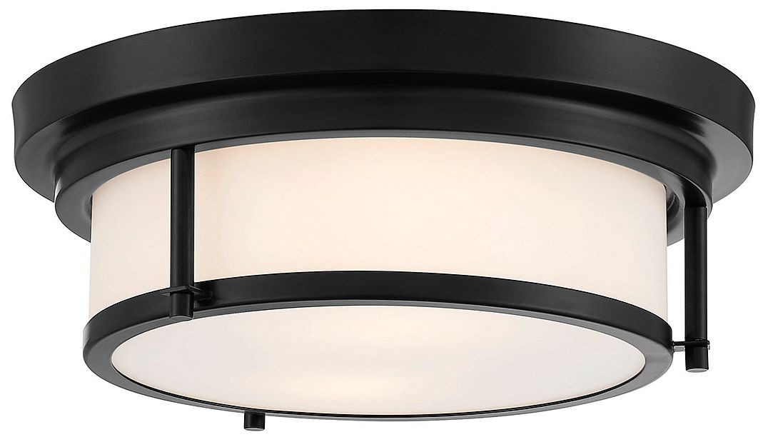 Image 5 2-Light Ceiling Light in Matte Black more views