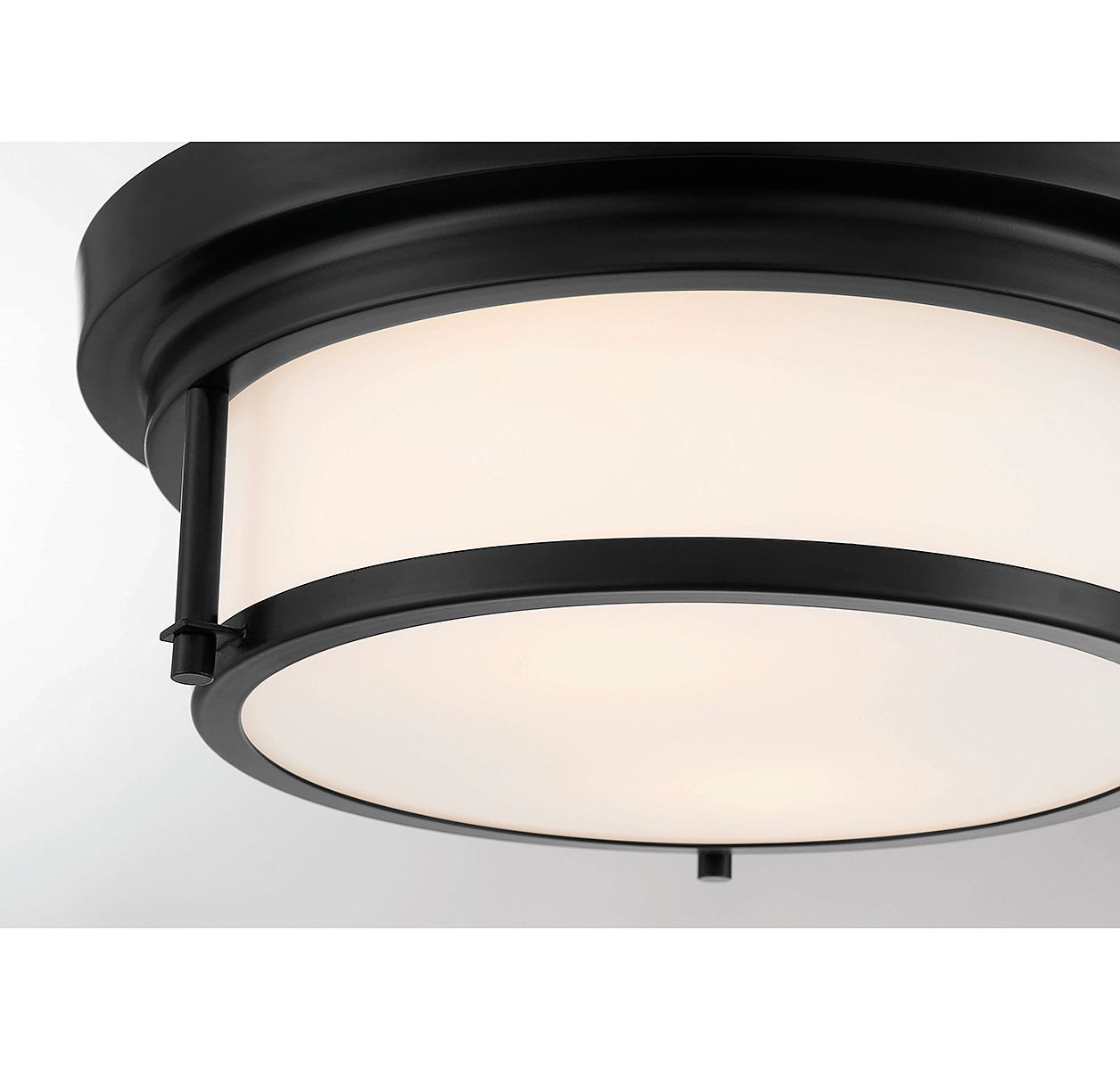Image 6 2-Light Ceiling Light in Matte Black more views