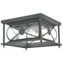 2 Light Charcoal Outdoor Ceiling Mount