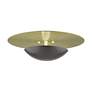 5_2 Light English Bronze Large Semi-Flush with Antique Brass Backplate more views