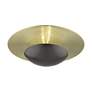 7_2 Light English Bronze Large Semi-Flush with Antique Brass Backplate more views