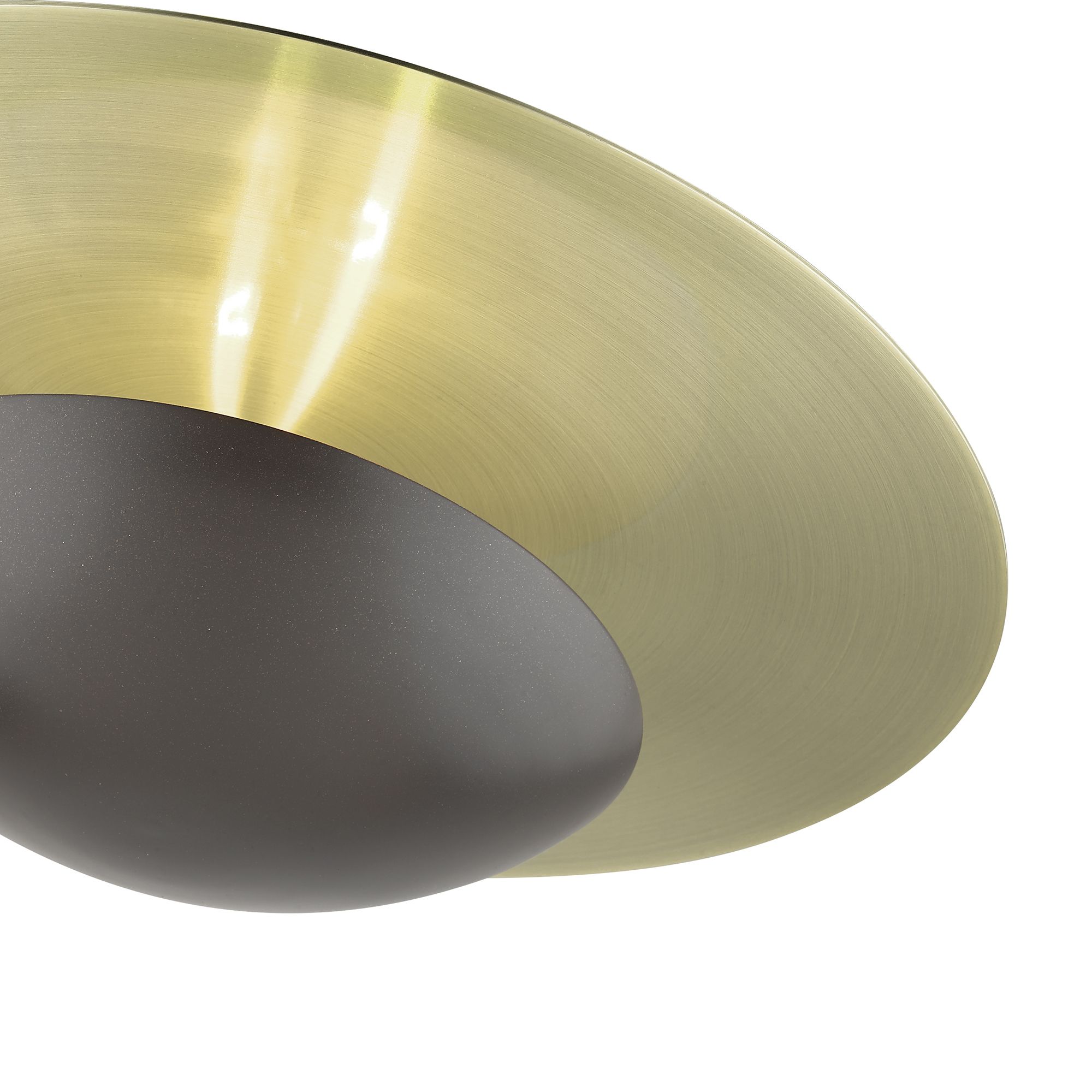 2 Light English Bronze Large Semi-Flush with Antique Brass Backplate