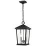 2_2 Light Outdoor Chain Mount Ceiling Fixture in Black finish