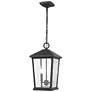 1_2 Light Outdoor Chain Mount Ceiling Fixture in Oil Rubbed Bronze finish