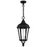 2_2 Light Textured Black Outdoor Pendant Lantern
