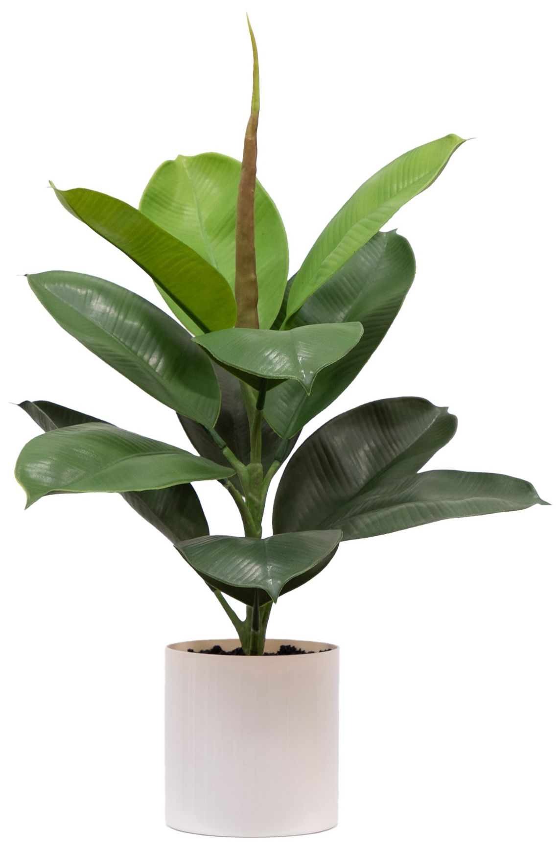 Image 2 20in. Artificial Fiddle Leaf Fig Plant