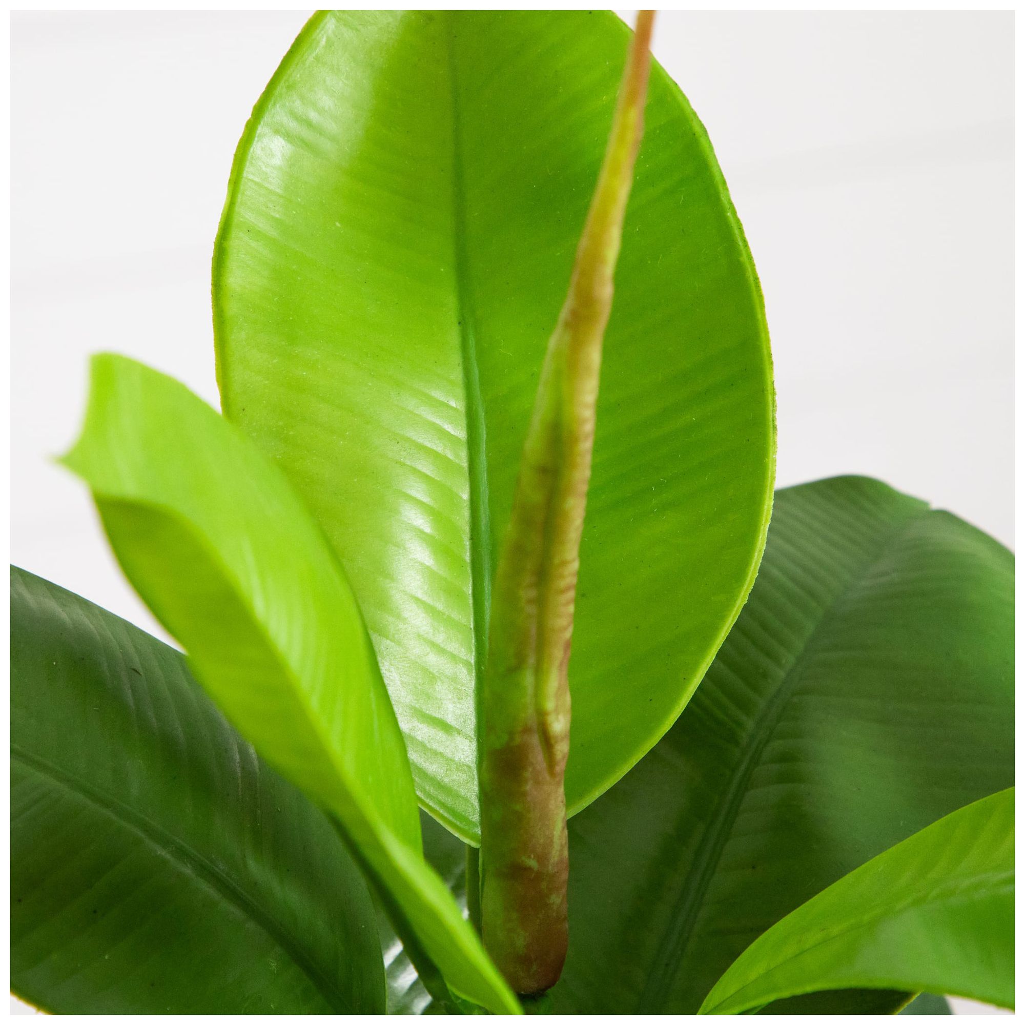 Image 5 20in. Artificial Fiddle Leaf Fig Plant more views