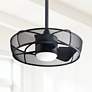 22" Fanimation Henry Black Finish Damp Rated LED Cage Fan with Remote