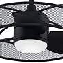 22" Fanimation Henry Black Finish Damp Rated LED Cage Fan with Remote
