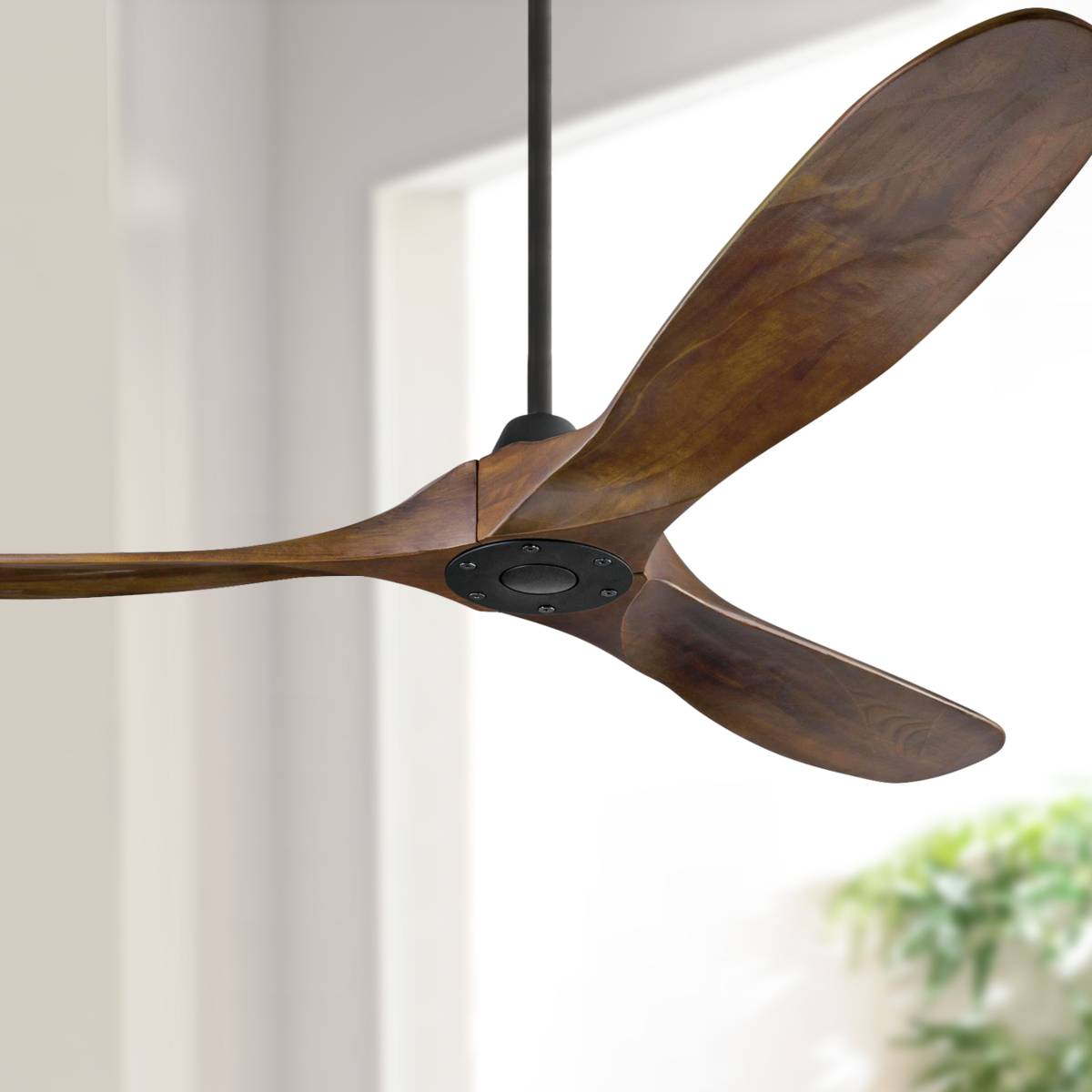 Contemporary Ceiling Fans Fresh Modern Looks Lamps Plus