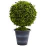 23in. Boxwood Ball Topiary