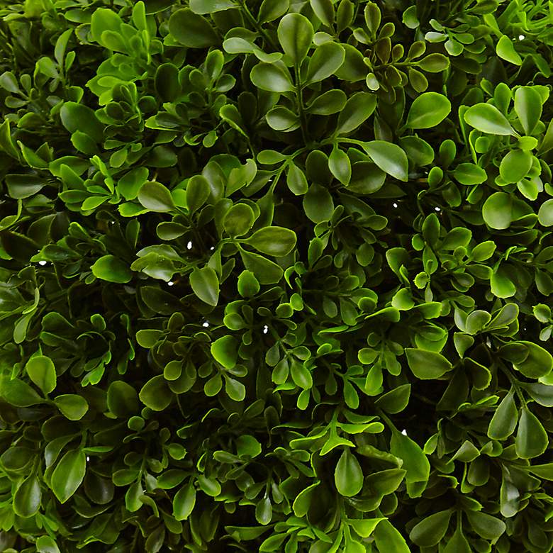 Image 2 23in. Boxwood Ball Topiary more views