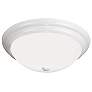 24298 - White Etched Opal Ceiling Light