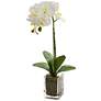 24in. Orchid Phalaenopsis Artificial Arrangement in Vase