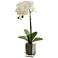 24in. Orchid Phalaenopsis Artificial Arrangement in Vase
