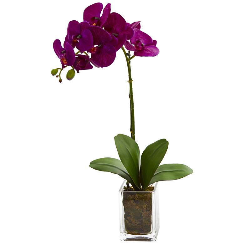 Image 1 24in. Orchid Phalaenopsis Artificial Arrangement in Vase