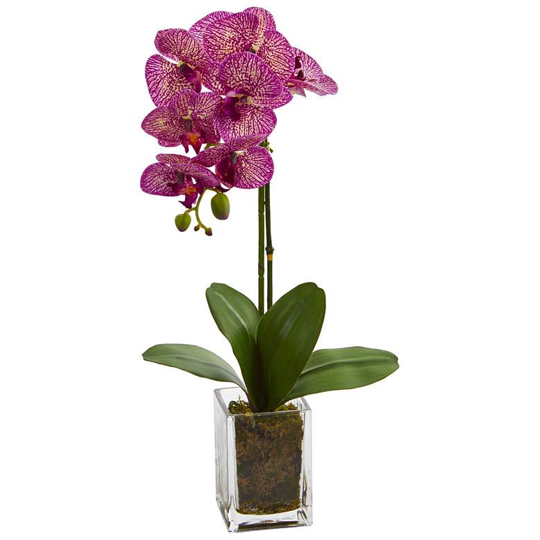 Image 1 24in. Orchid Phalaenopsis Artificial Arrangement in Vase