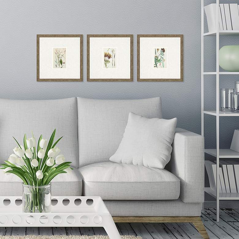 Image 1 Antique Botanical I 13 inch Square 3-Piece Framed Wall Art Set in scene