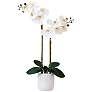 26in. Artificial Double Orchid Phalaenopsis with Decorative Vase
