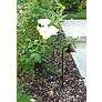 Thumbnail1 of Jayce 18 1/2" High Bronze LED Landscape Path Light in scene