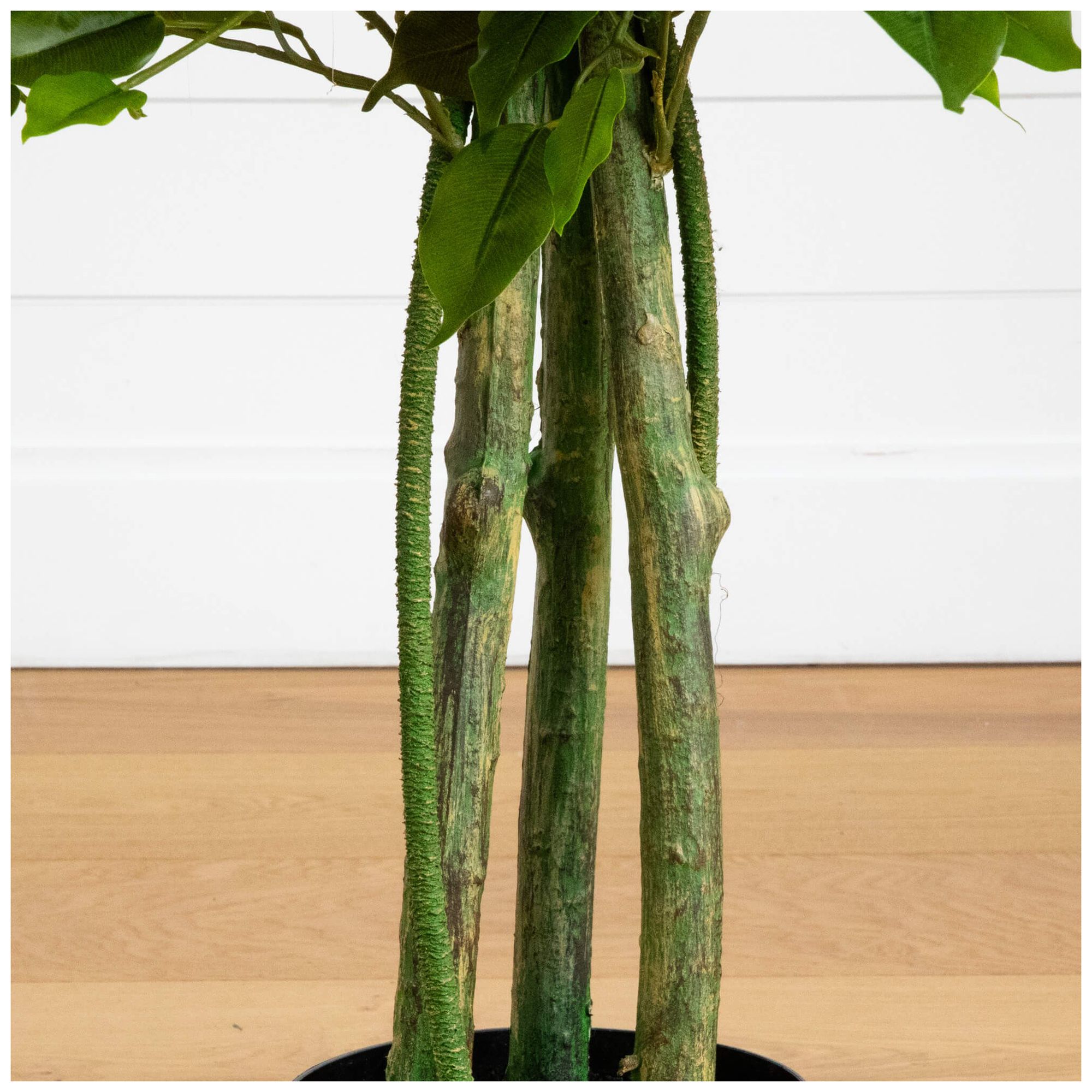 Image 5 3.5ft. UV Resistant Artificial Ficus Tree (Indoor/Outdoor) more views