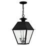 4_3 Light Black Outdoor Pendant Lantern more views