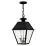 5_3 Light Black Outdoor Pendant Lantern more views