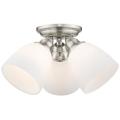 Livex Lighting Somerville Silver Collection