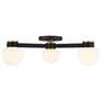 1_3-Light Ceiling Light in Matte Black with Natural Brass