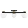 2_3-Light Ceiling Light in Matte Black with Natural Brass more views
