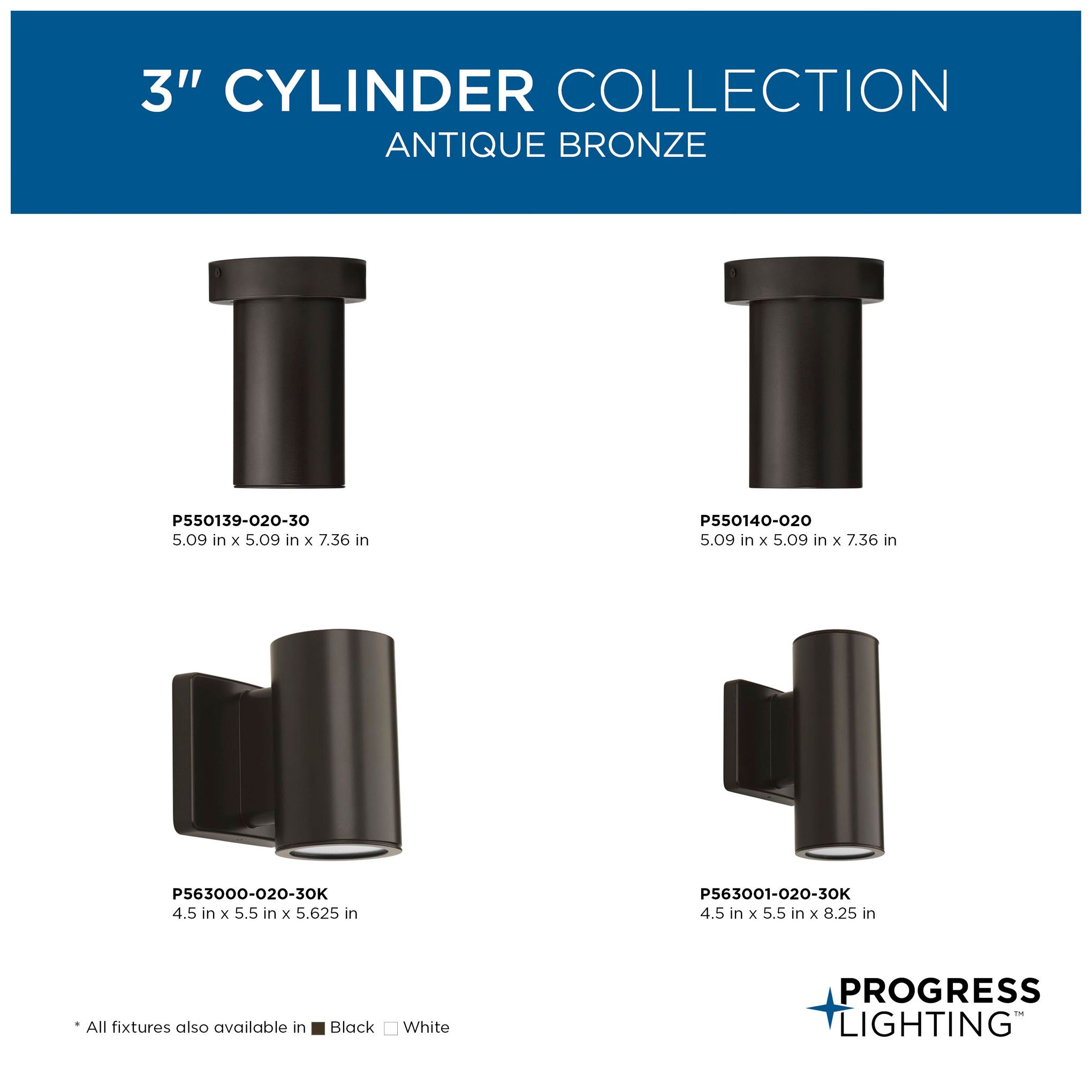 3" Surface Mount Adjustable Cylinder
