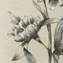 5_30" x 39" Flowers Black and Beige Hand Painted Canvas Wall Art more views