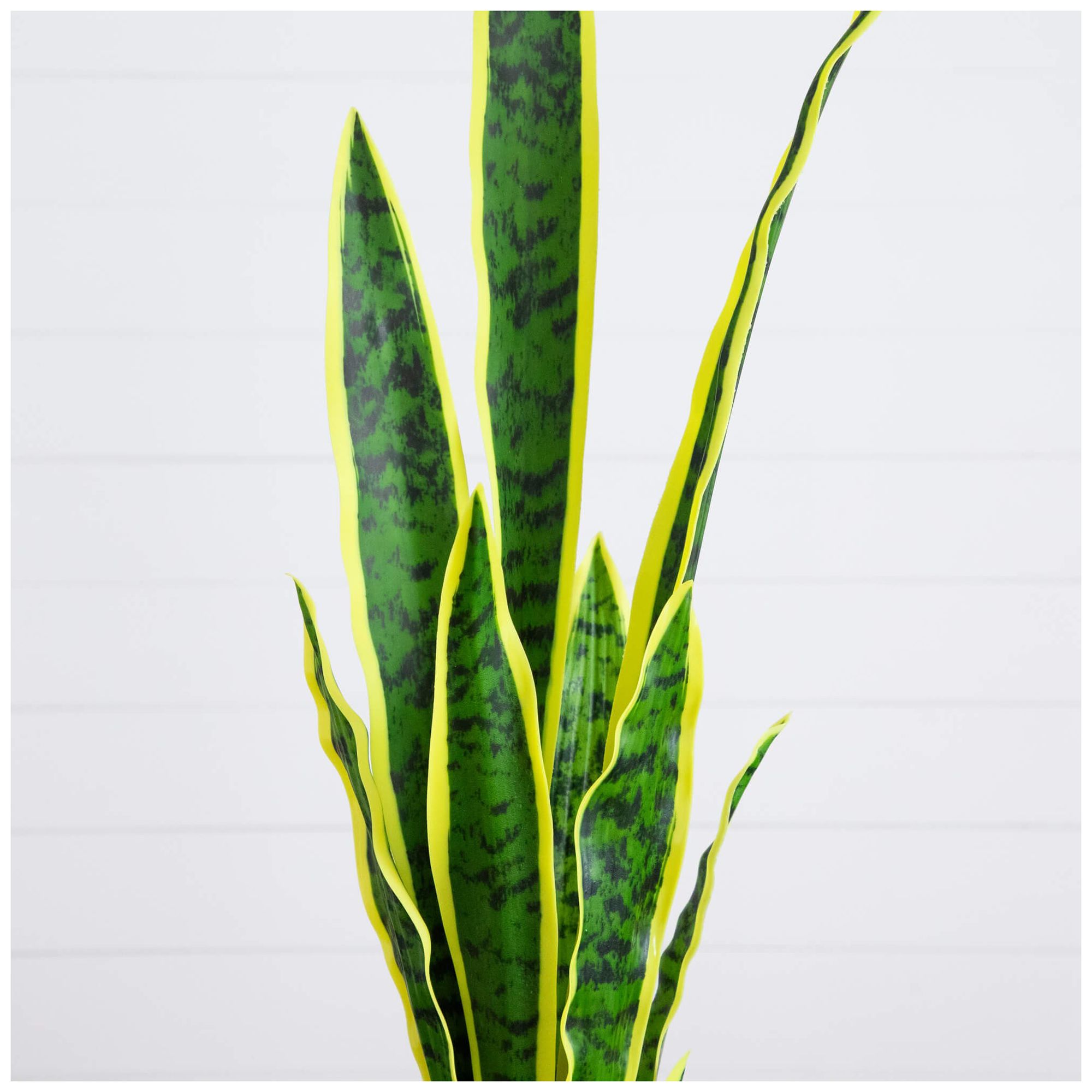Image 4 30in. Artificial Sansevieria Plant more views