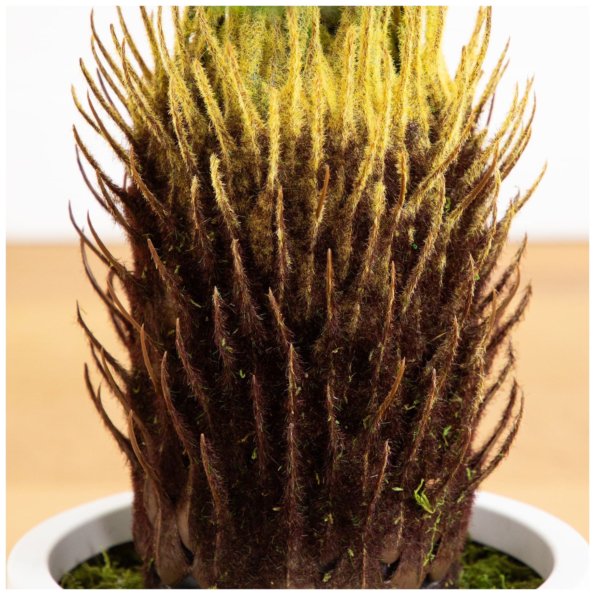 30in. UV Resistant Artificial Cycas Palm Tree in White Decorative Planter