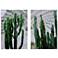 35.4" x 23.6" Green and White Twin Cacti Print - Set of 2