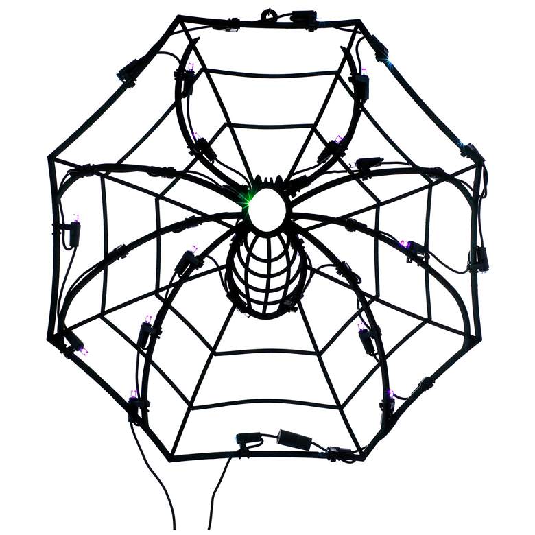 Image 1 35-Light Spider Web Indoor/Outdoor Light Set