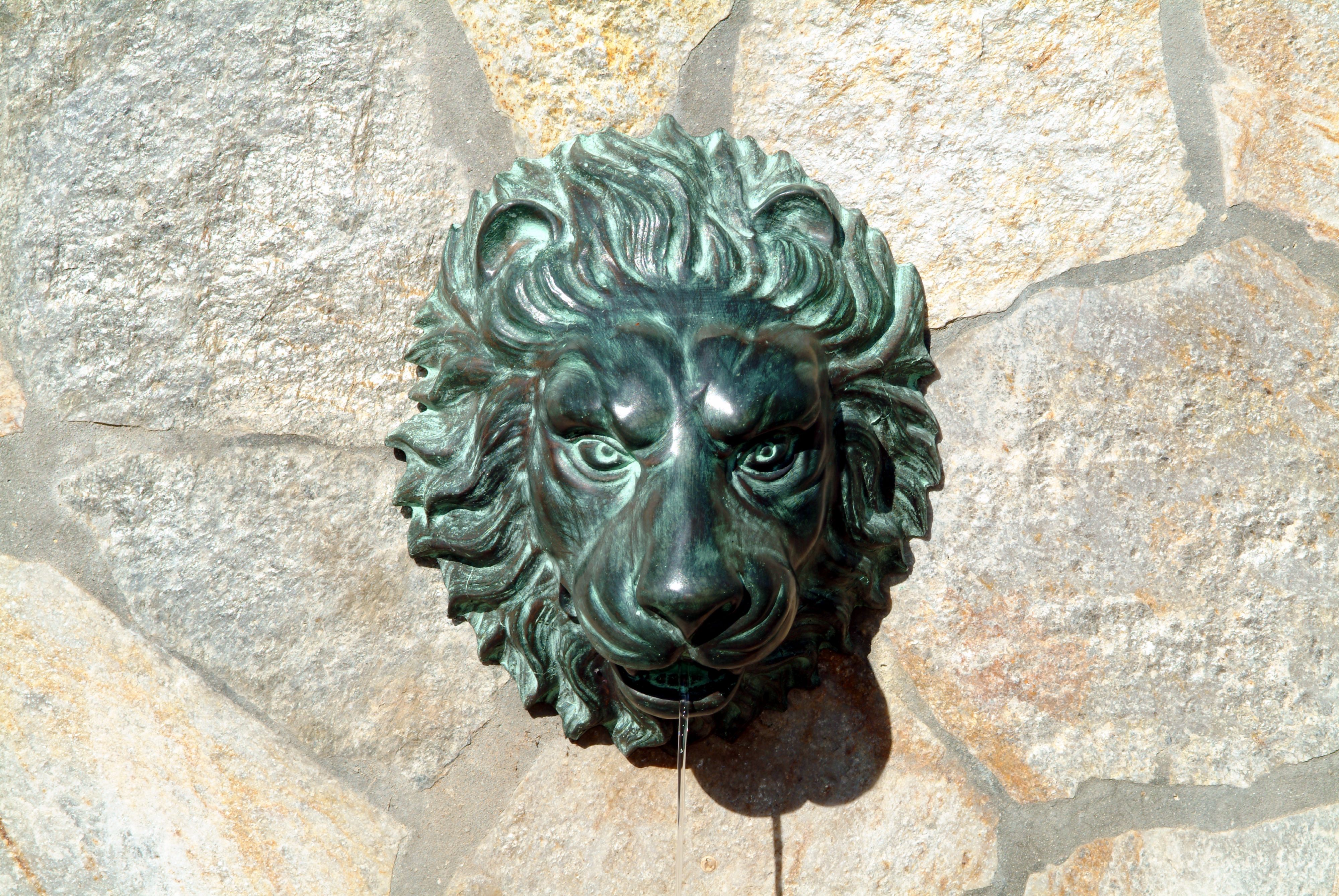 Image 1 Lion Head 14" High Brass Medallion Wall Fountain in scene