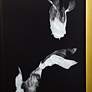 4_36"H x 12"W Koi Fish Gold Framed Printed Wall Art - Set of 2 more views