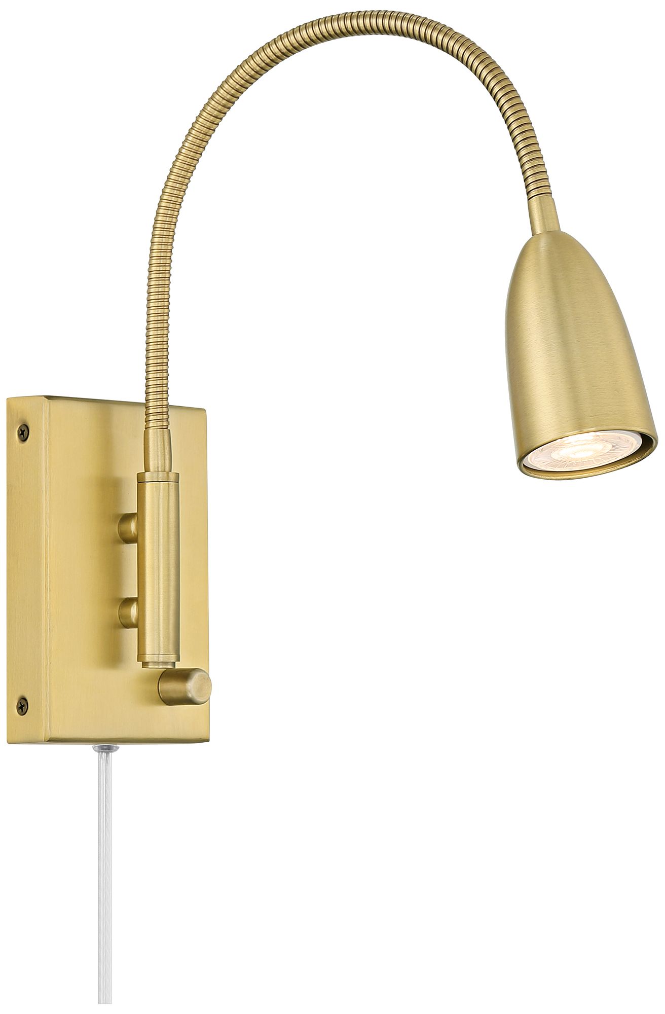 plug in gooseneck light