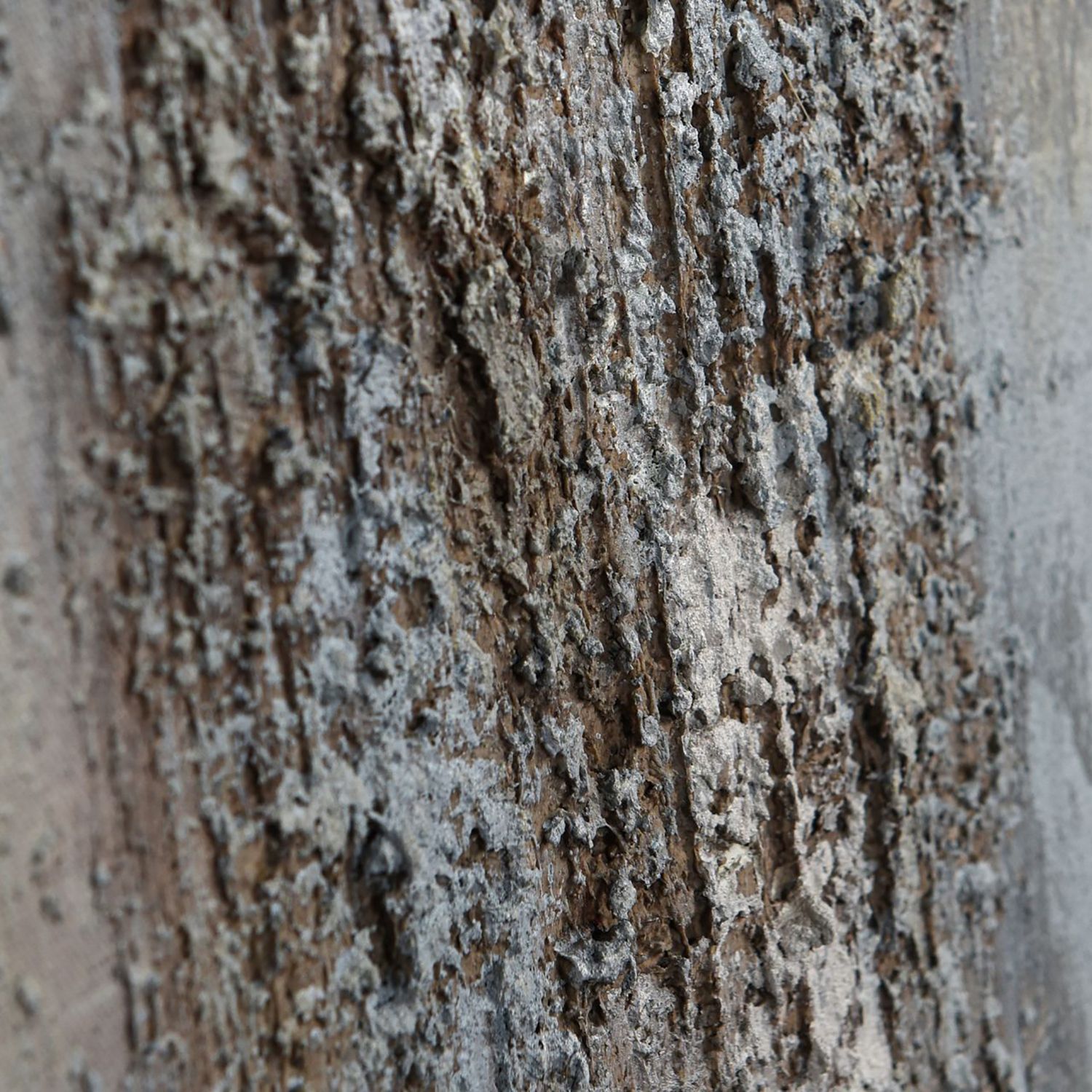 Image 6 39" x 39" Abstract Hand Painted Canvas Wall Art more views