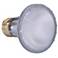 39 Watt Sylvania PAR20 Narrow Capsylite Bulb