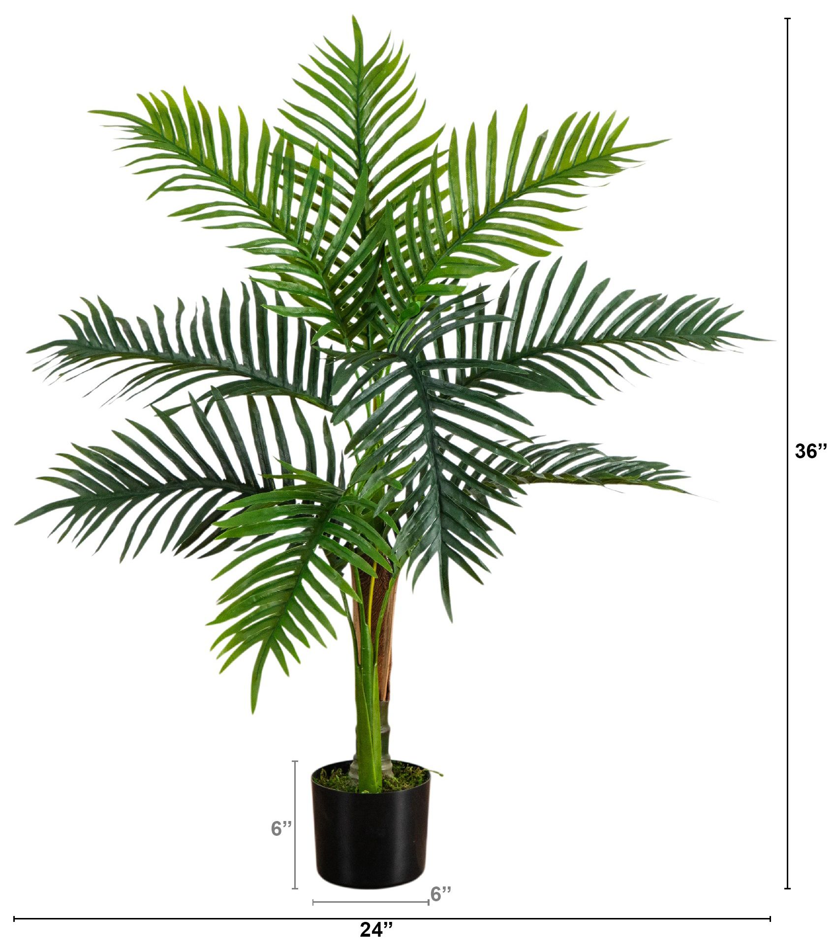 Image 3 3ft. UV Resistant Artificial Double Robellini Palm Tree (Indoor/Outdoor) more views