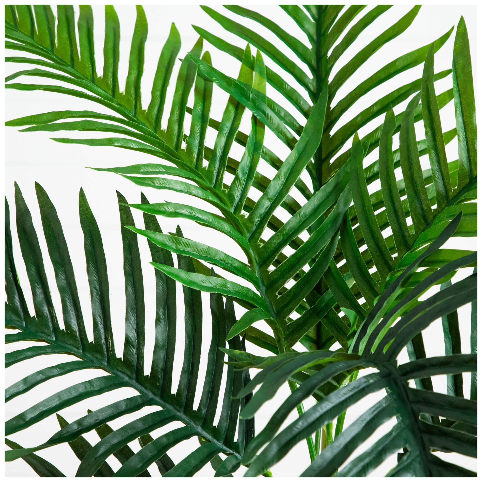 Image 4 3ft. UV Resistant Artificial Double Robellini Palm Tree (Indoor/Outdoor) more views