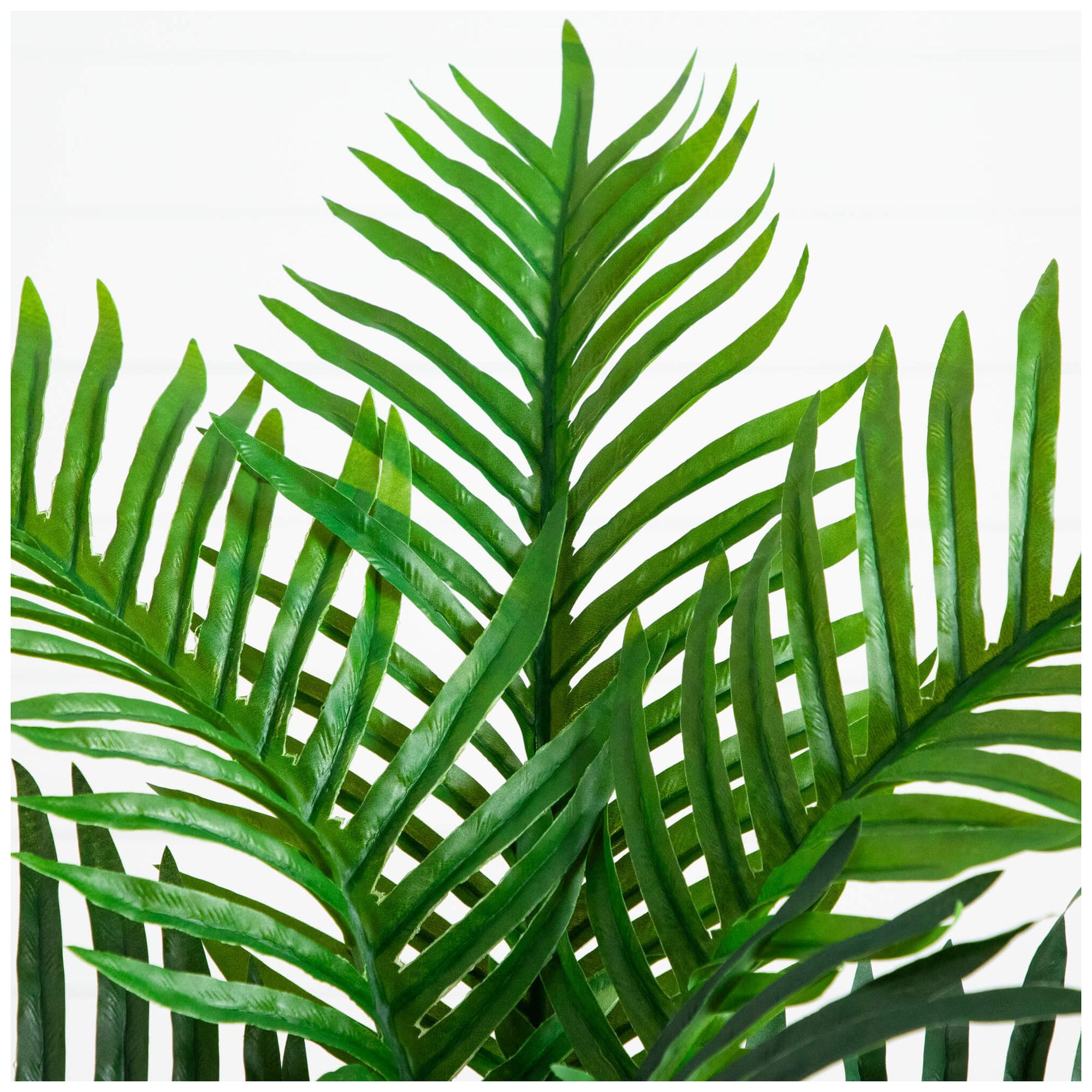 Image 5 3ft. UV Resistant Artificial Double Robellini Palm Tree (Indoor/Outdoor) more views