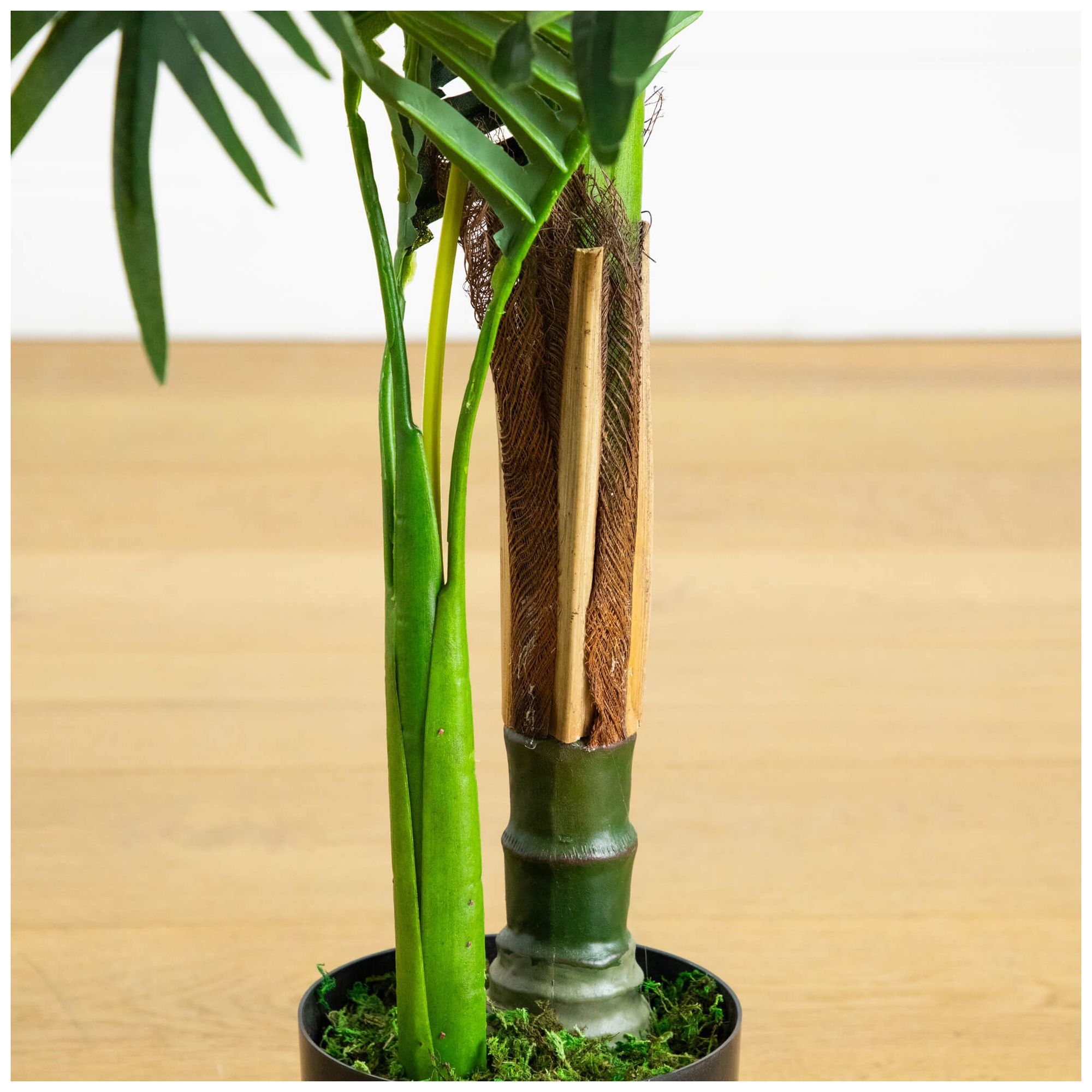 Image 6 3ft. UV Resistant Artificial Double Robellini Palm Tree (Indoor/Outdoor) more views