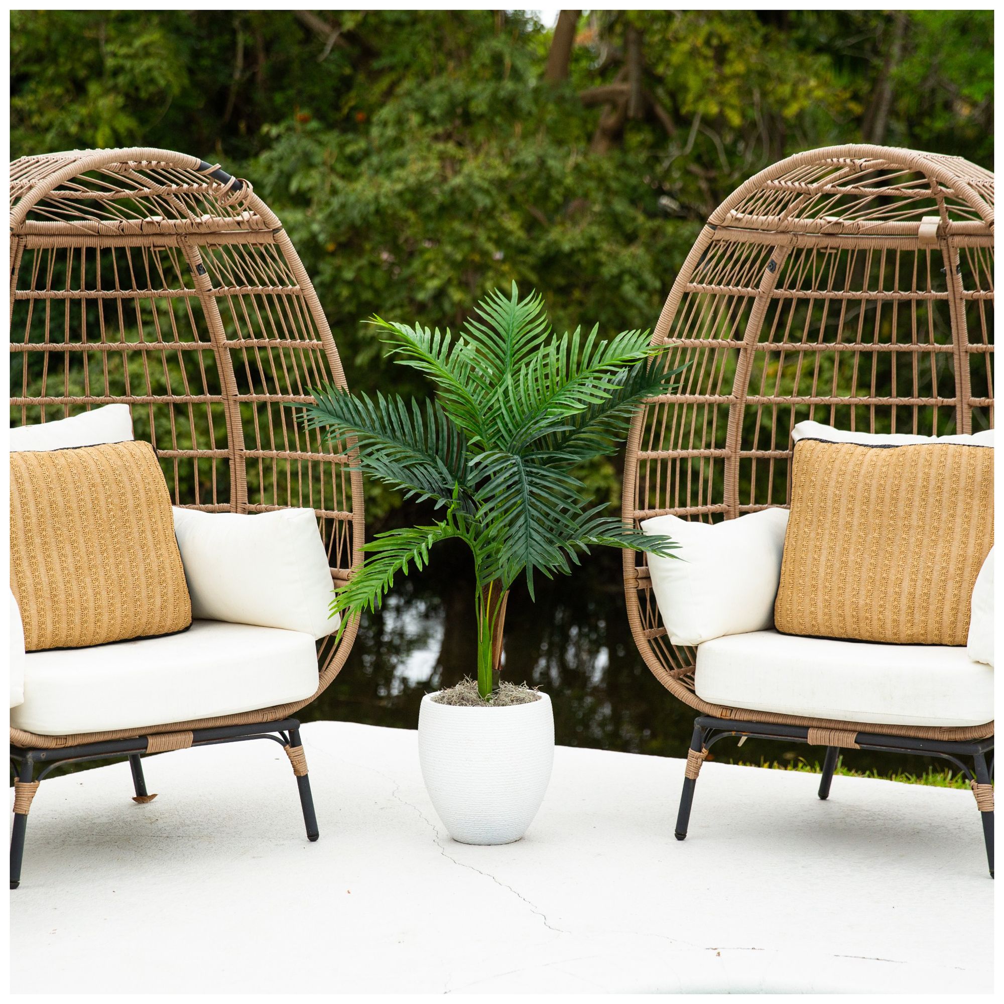 Image 7 3ft. UV Resistant Artificial Double Robellini Palm Tree (Indoor/Outdoor) more views