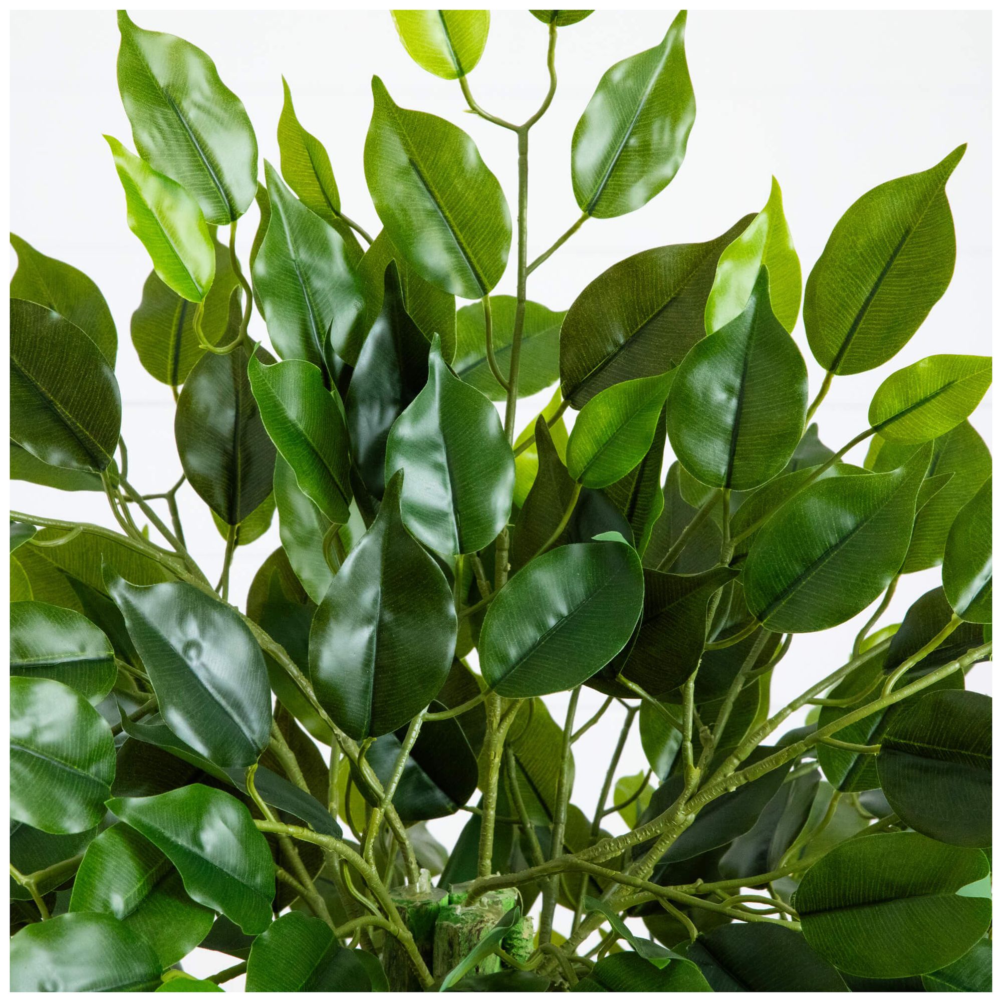 Image 4 4.5ft. UV Resistant Artificial Ficus Tree (Indoor/Outdoor) more views