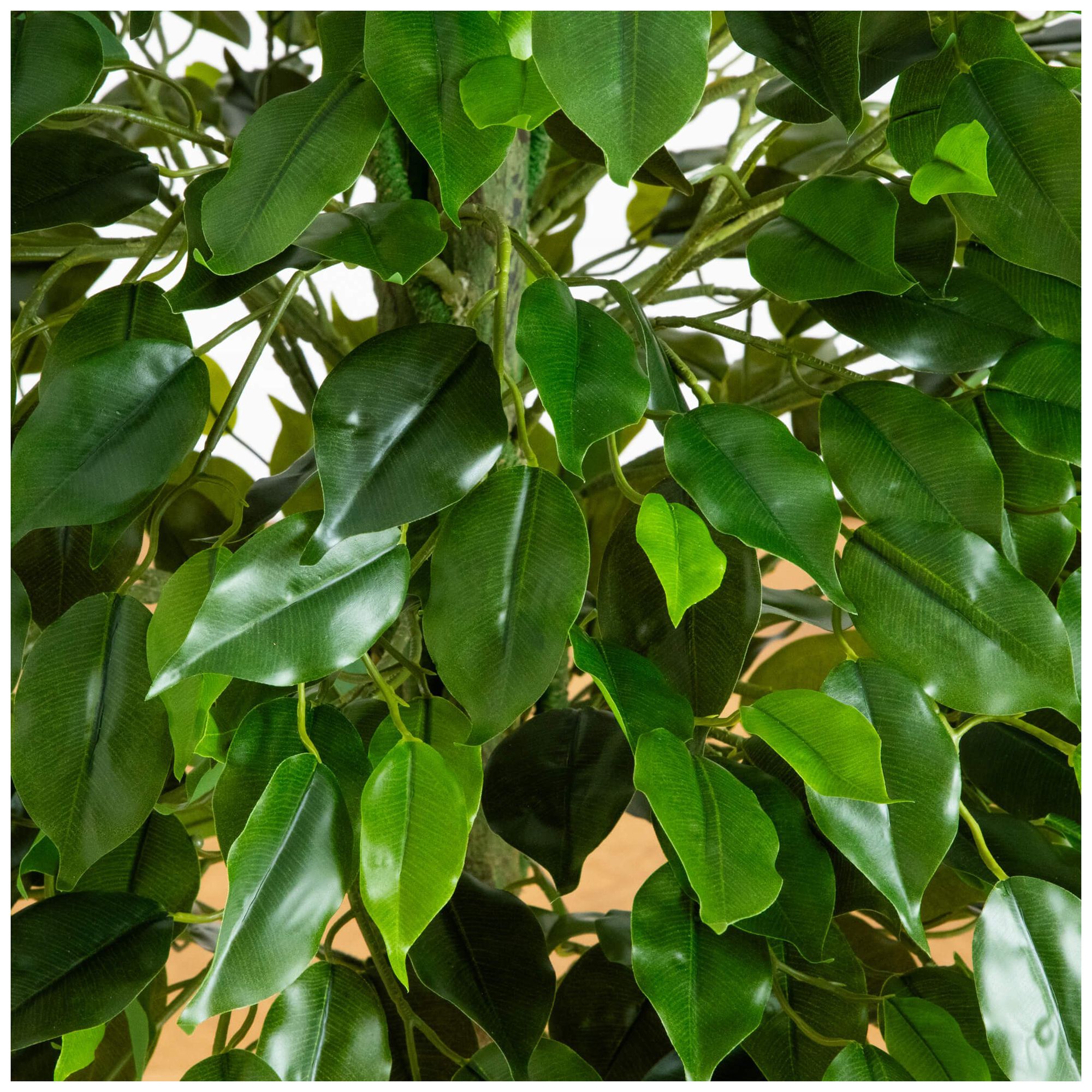 Image 5 4.5ft. UV Resistant Artificial Ficus Tree (Indoor/Outdoor) more views