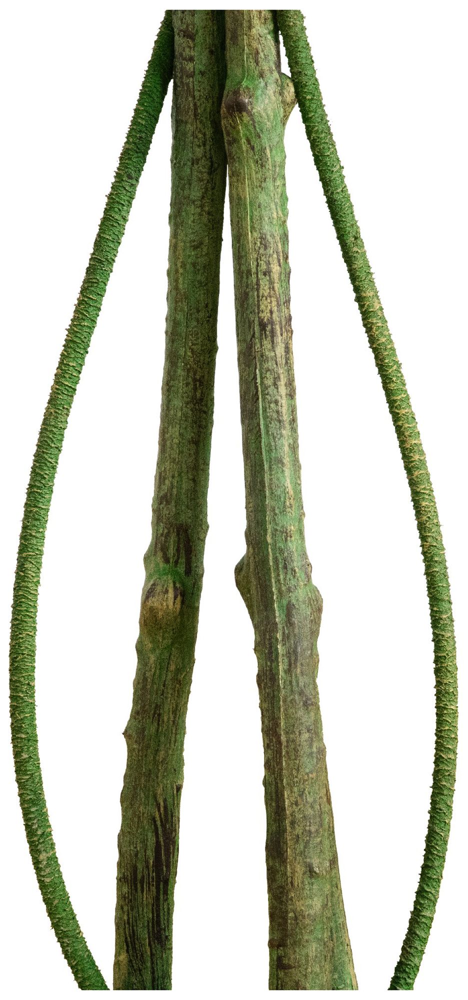 Image 6 4.5ft. UV Resistant Artificial Ficus Tree (Indoor/Outdoor) more views